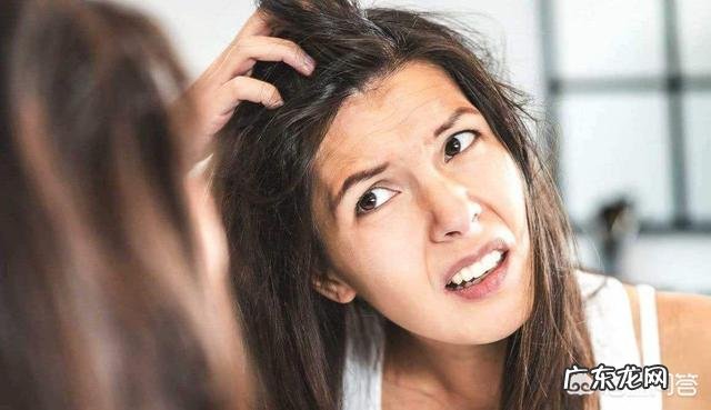 薏米、茯苓、苦荞麦一起煮汤喝能减肥祛湿吗?