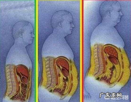 一天练习300次卷腹训练,持续2个月,能练出腹部肌肉吗?