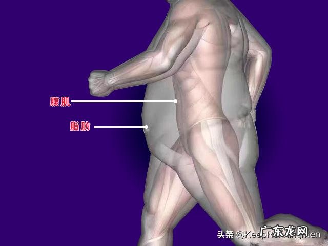 一天练习300次卷腹训练,持续2个月,能练出腹部肌肉吗?