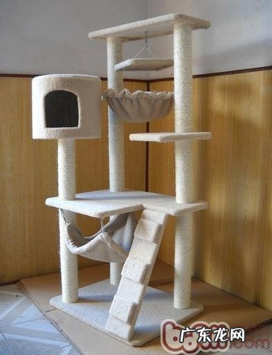 教你简略三步干洗清洁猫爬架