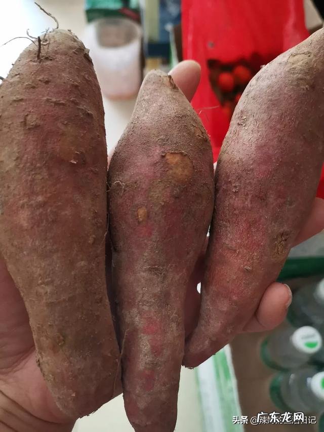 微波炉能做地瓜条吗？怎么做？