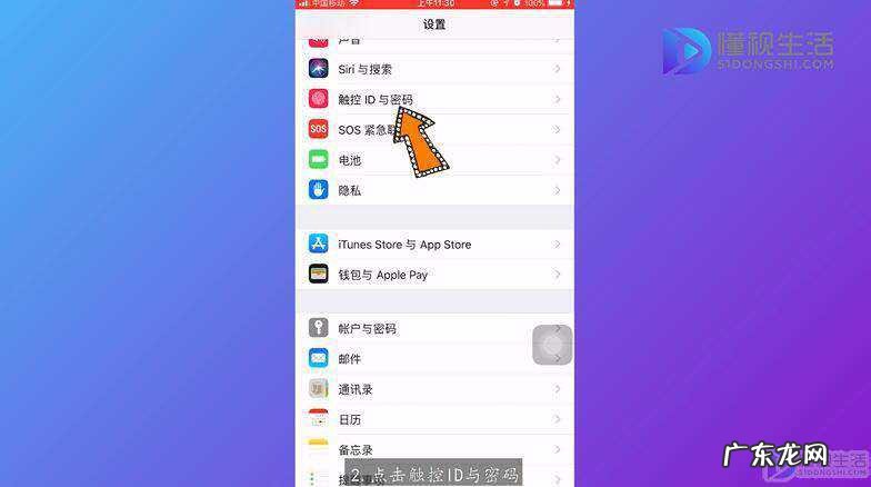 苹果12怎么设置屏幕锁? 苹果手机密码设置在哪里