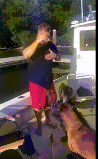 养大型狗和小型狗有什么区别