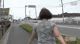 养大型狗和小型狗有什么区别