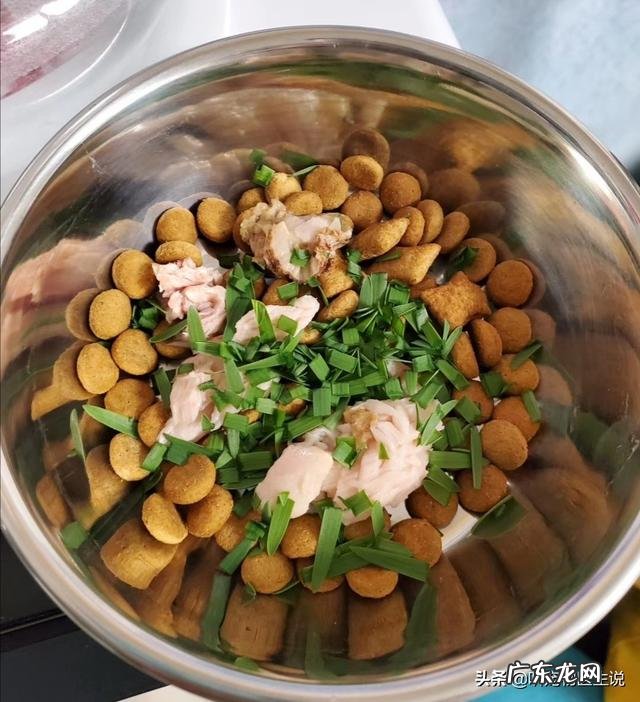 狗狗4个月大，驱虫什么的按时做，为什么一直很瘦？