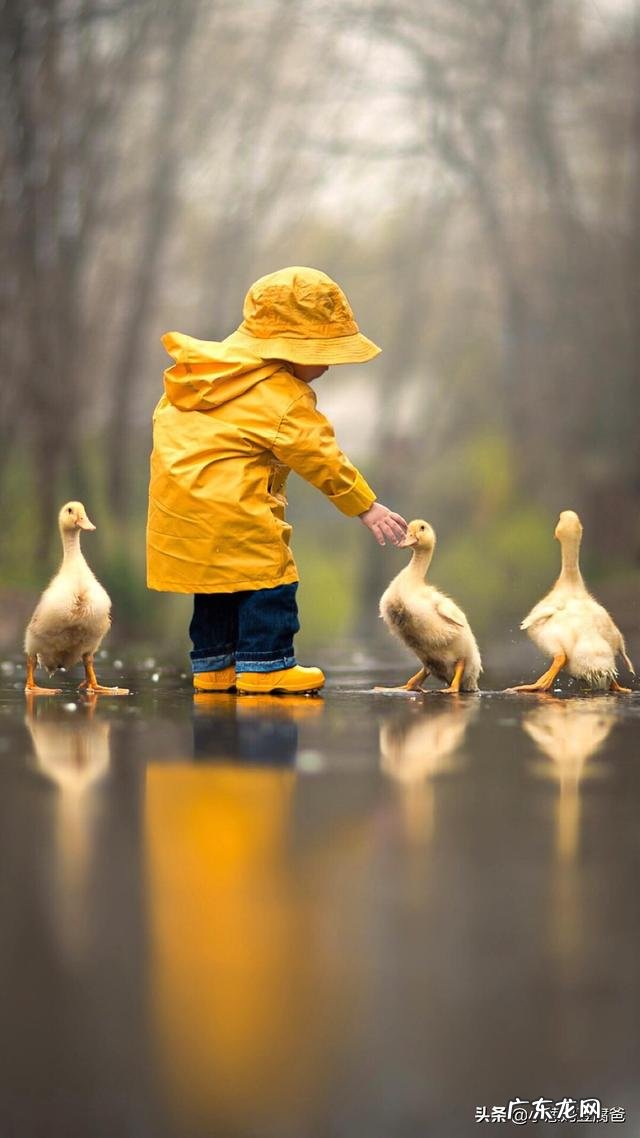 婆婆想带孙子回老家 为什么婆婆都喜欢把孙子带回老家带?