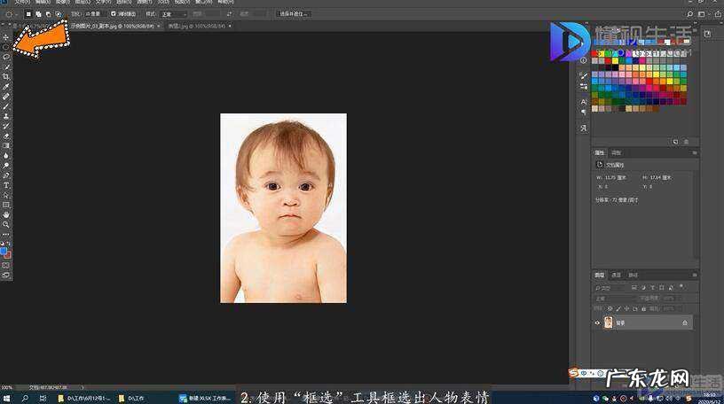 手机照片怎么做表情包? 照片怎么做成表情包
