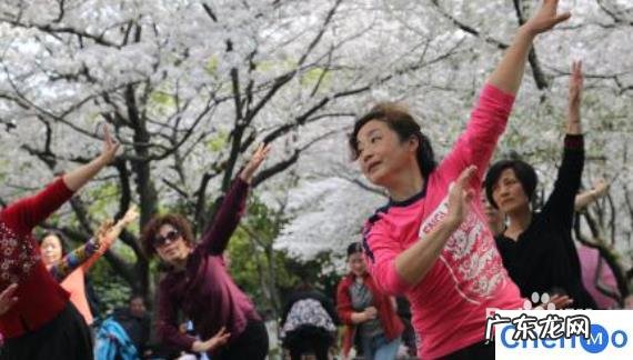 DJ广场舞《情难度》动感欢快,活力健身舞 初学最简单的广场舞