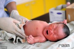 新生儿宝宝长相变化-新生儿几个月长相变化