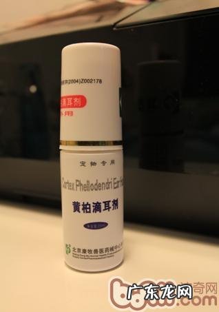 喵星人攻略之日常护理