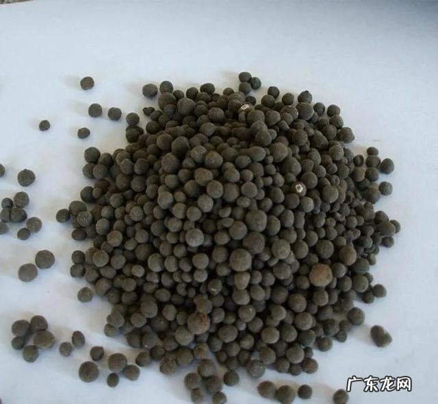 枯草芽孢杆菌能和阿维菌混用吗