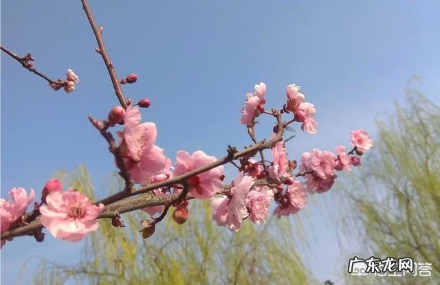 在婚姻生活中,感觉很疲惫很累,大家都是怎么排解的呢?