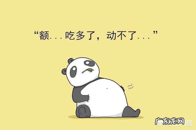 吃很多却不胖,是消化系统功能好还是消化系统功能不好?