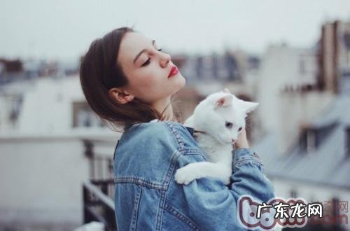 温顺小天使,抱猫技巧大公开