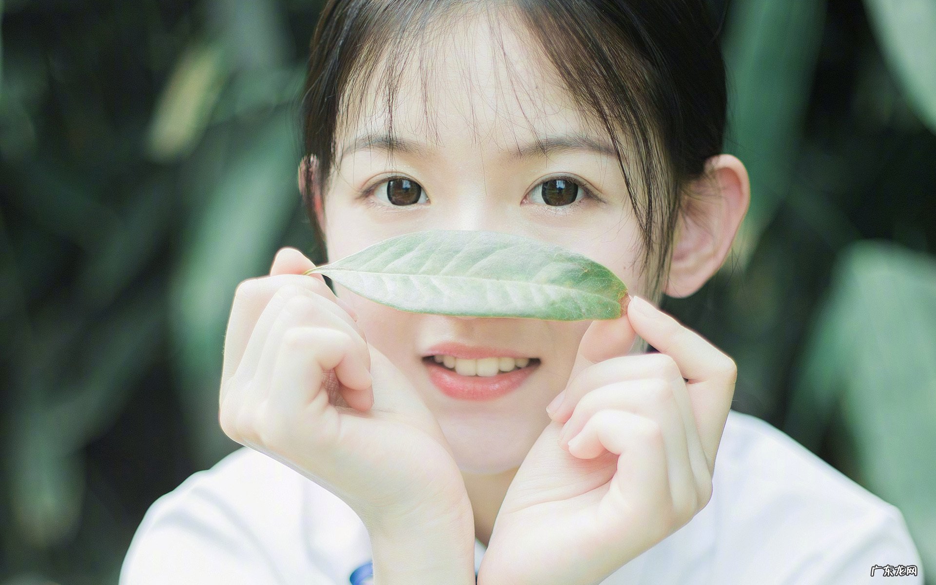 求一个瘦腿、瘦肚子的健身计划