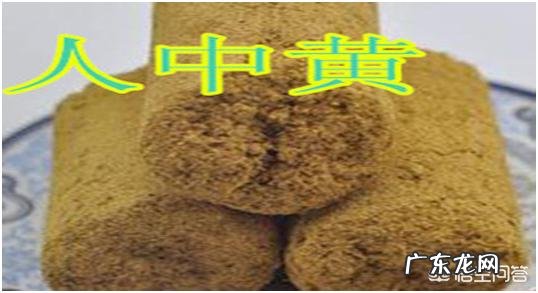 李时珍为什么能准确定性中草药的功效？