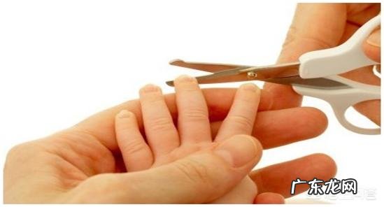 李时珍为什么能准确定性中草药的功效？