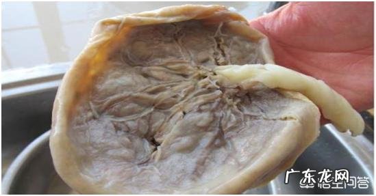 李时珍为什么能准确定性中草药的功效？