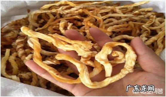 李时珍为什么能准确定性中草药的功效？