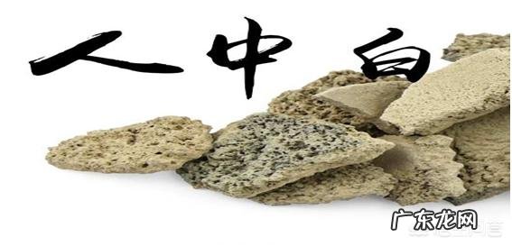 李时珍为什么能准确定性中草药的功效？