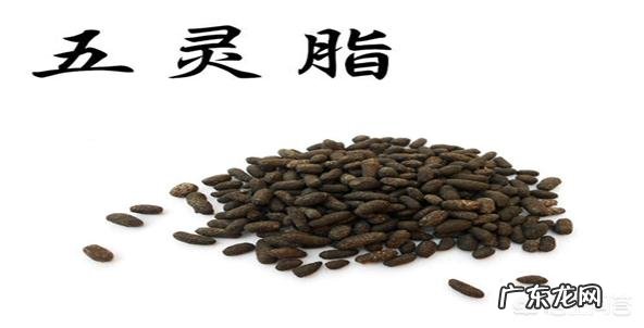 李时珍为什么能准确定性中草药的功效？