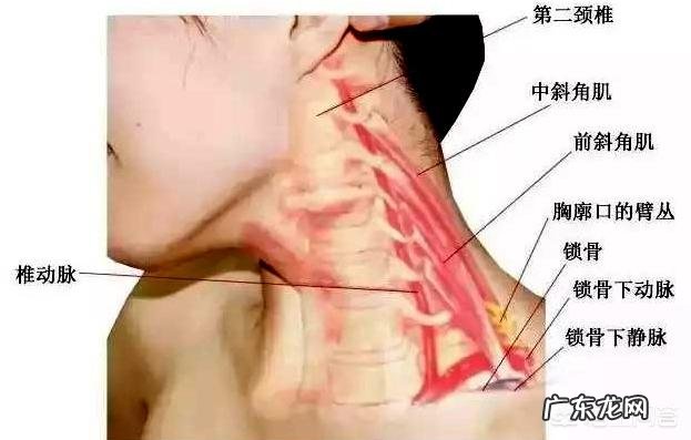 每天喝红糖有什么用 每天坚持喝红糖有什么好处?