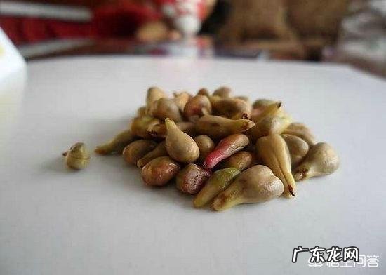 有人知道葡萄籽的功效与作用吗?