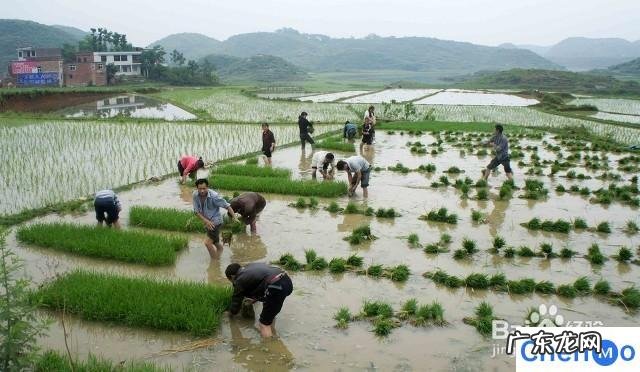 过年做什么短期小生意 做什么小生意挣钱