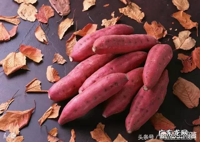 地瓜干蒸熟了有什么功效 现在提倡养生，地瓜梗晒干有什么妙用？
