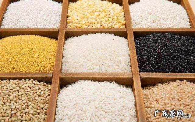 减肥能食淀粉高的食物吗 #秋补#减肥一定要少吃淀粉类食物吗?