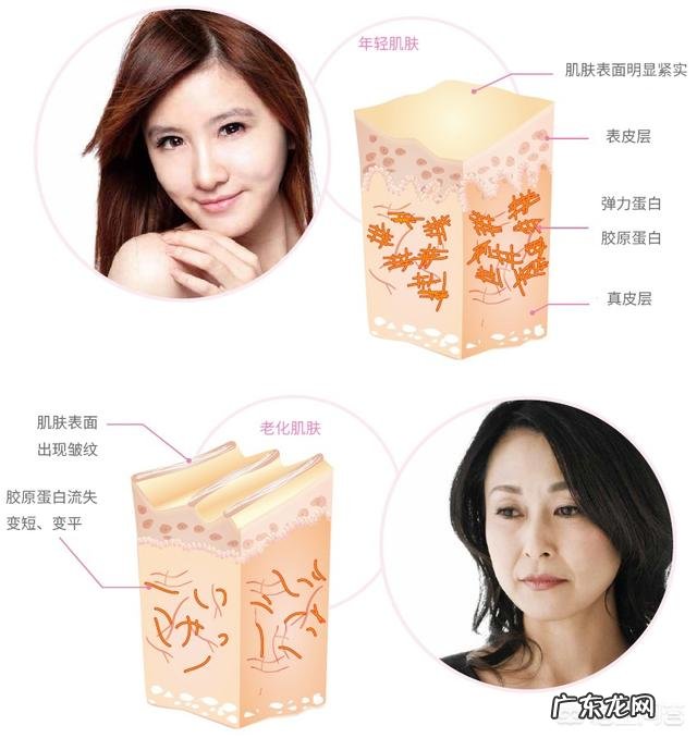 有人说皮肤松弛和吃甜食有关，是真的吗有什么依据