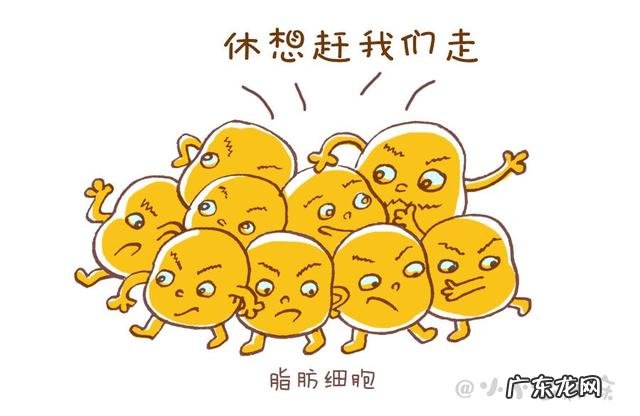 婴儿三个半月体重18斤胖吗?怎样减肥?