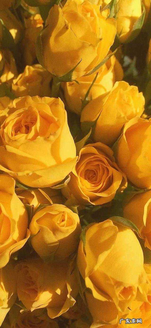 你收藏过哪些zhi愈系的文案？