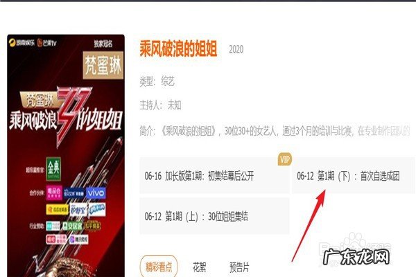 在哪里在线观看综艺节目《乘风破浪的姐姐》