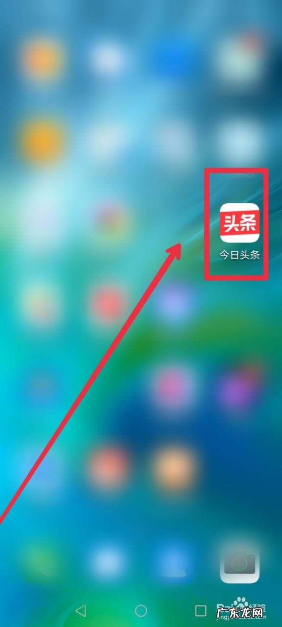 综艺app 怎么在今日头条APP快速找到真人秀节目