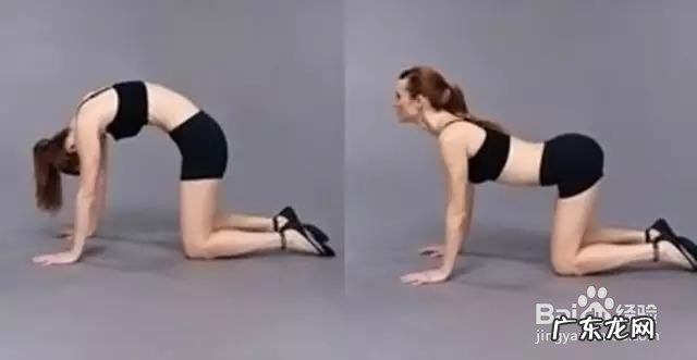 健美操怎么瘦腰收腹