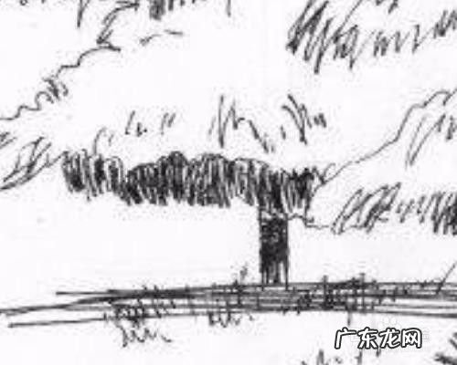 下雪天可以做什么