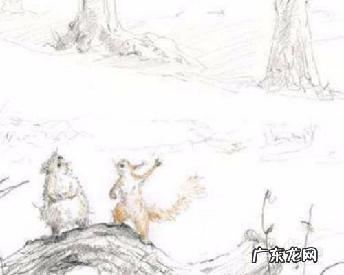 下雪天可以做什么