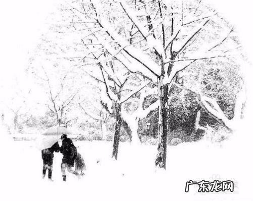 下雪天可以做什么