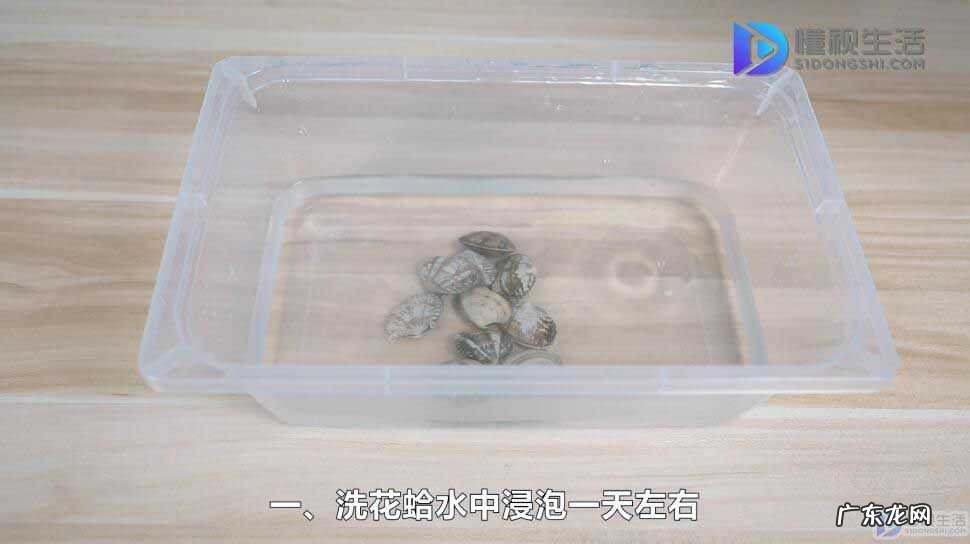 冻花蛤的清洗方法？ 怎么洗花蛤