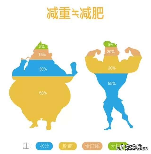 无额外进食或补水 为什么我吃低热量食物并没有减重?