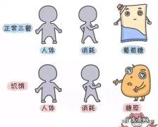 无额外进食或补水 为什么我吃低热量食物并没有减重？