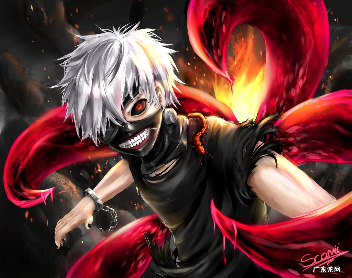 玫瑰冬瓜荷叶茶有效果吗 玫瑰荷叶茶和冬瓜荷叶茶有什么区别吗