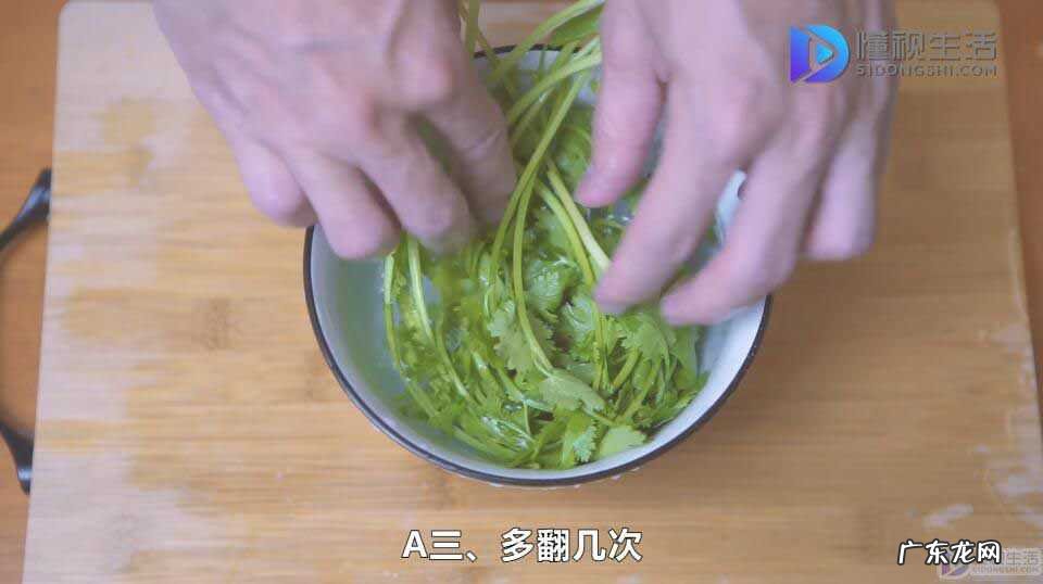马齿苋怎么清洗干净? 野菜怎么洗才能干净
