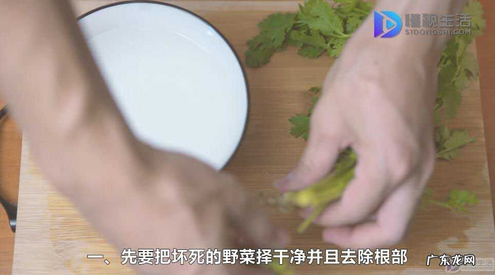 马齿苋怎么清洗干净? 野菜怎么洗才能干净