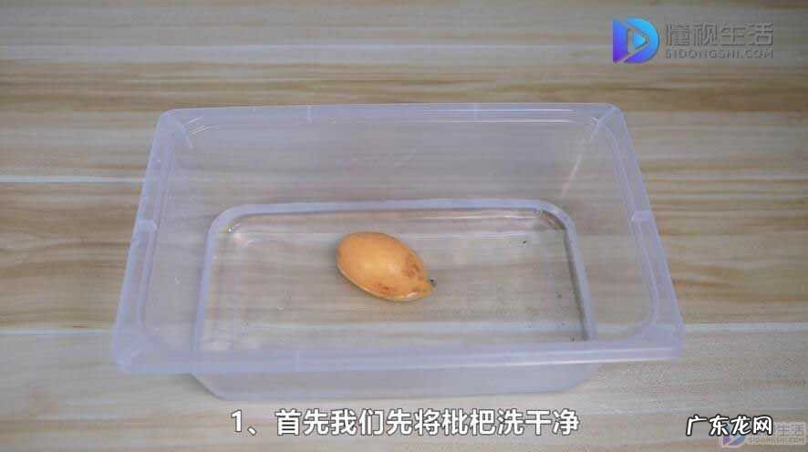 枇杷叶不适宜人群? 快速剥枇杷皮的方法