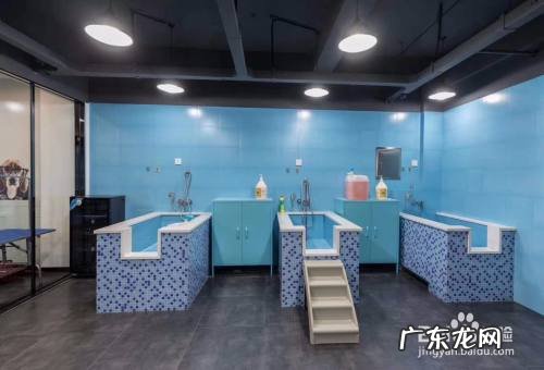 开宠物店会血本无归吗 开一家宠物店现在还赚钱吗