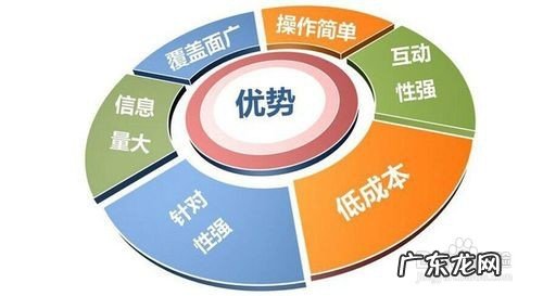 新项目如何推广 如何做网站推广