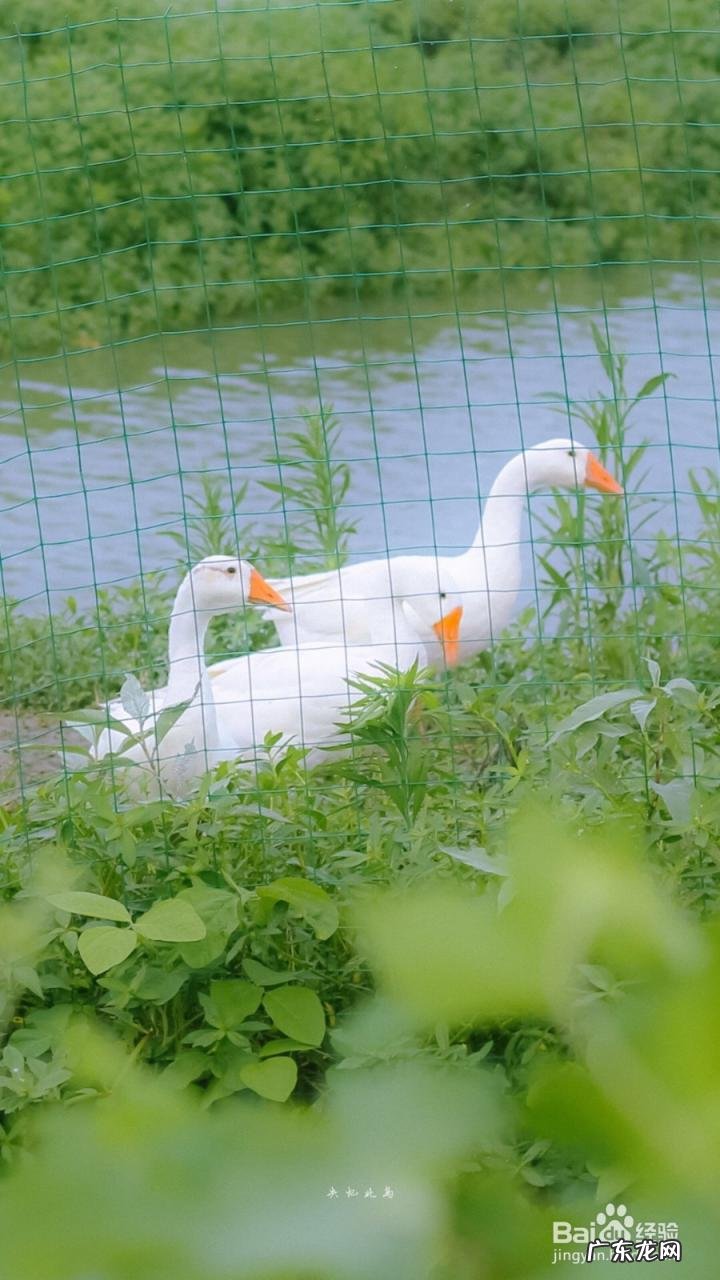 电脑壁纸超清4k动漫男 电脑超高清壁纸4k