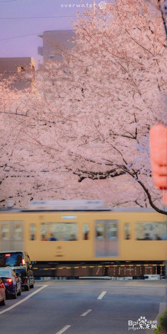 电脑壁纸超清4k动漫男 电脑超高清壁纸4k